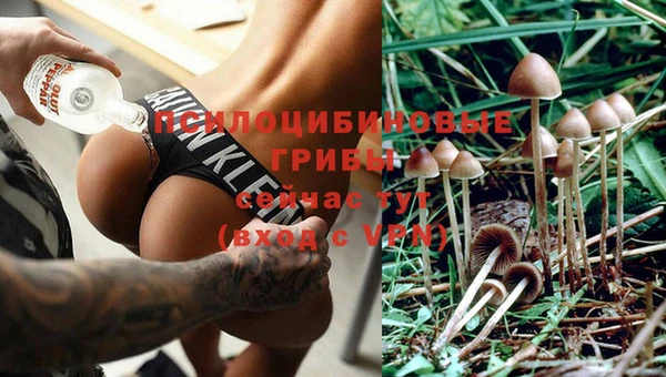 МДПВ Абинск